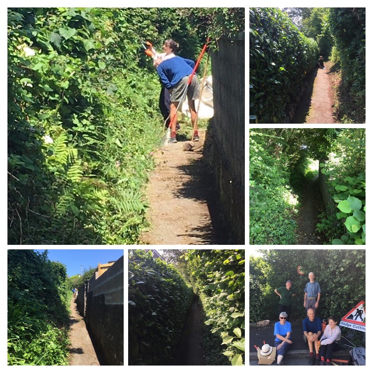 collage of photos showing volunteers at work clearing the lane